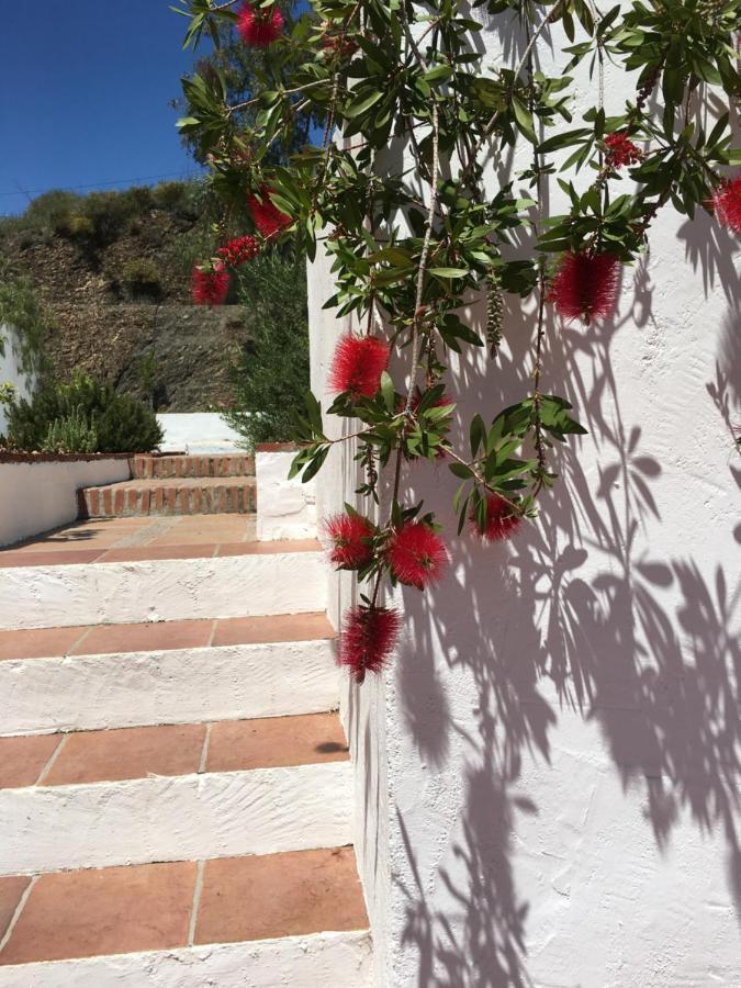 B&B And Apartments Cortijo La Zapatera Canillas de Aceituno Екстер'єр фото